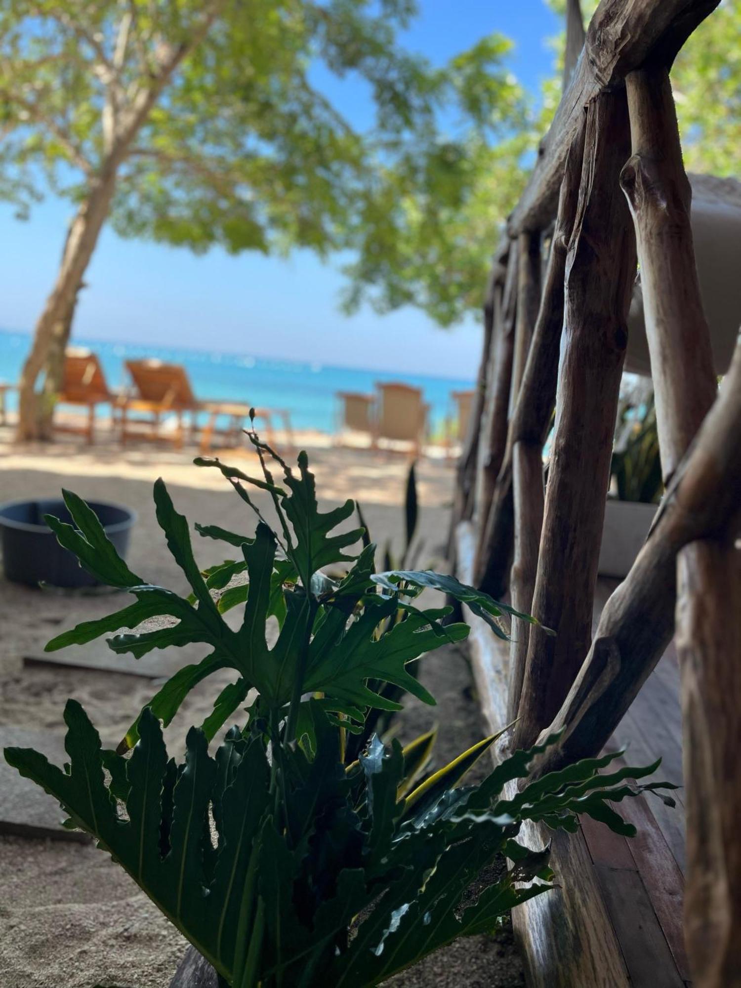 Thani Ecobeach Baru Playa Blanca Kültér fotó
